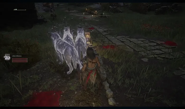 It is not possible to summon spirits in multiplayer