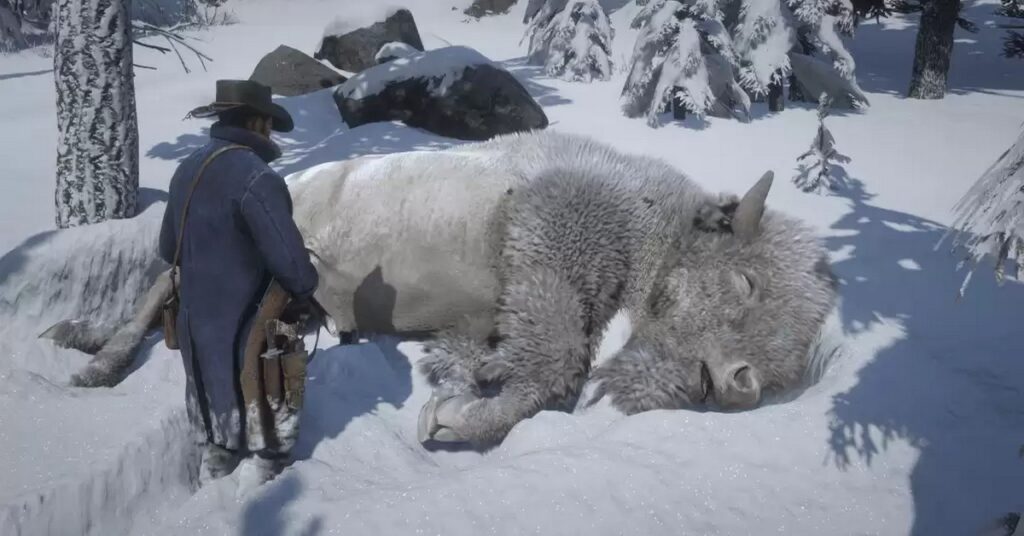 雪の中で屠殺されたホワイトバイソンを見つめる男性