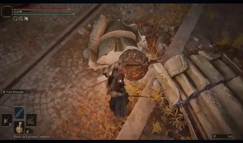 Image of the beetle passing through the center of the screen within the game